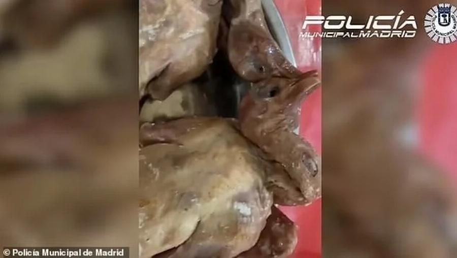 ΣOK: Εστιατόριο σέρβιρε στους πελάτες περιστέρια από τον δρόμο ως ψητή πάπια