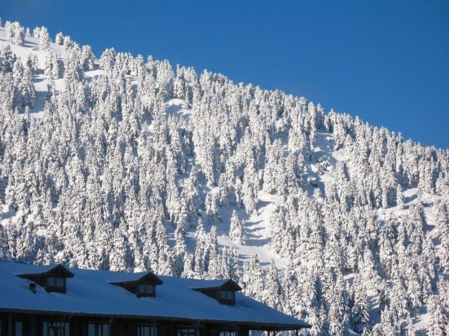 Καμία Αράχωβα, κανένα Πήλιο: Αυτός είναι ο απόλυτος χειμερινός προορισμός με καλό φαγητό – Μια ανάσα από την Αττική