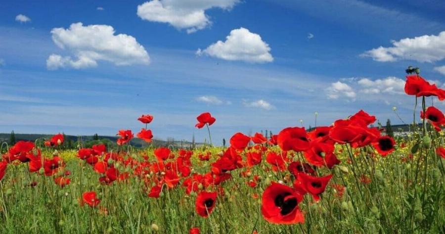 Οριστικό: «Κλείδωσε» ο καιρός της 25ης Μαρτίου