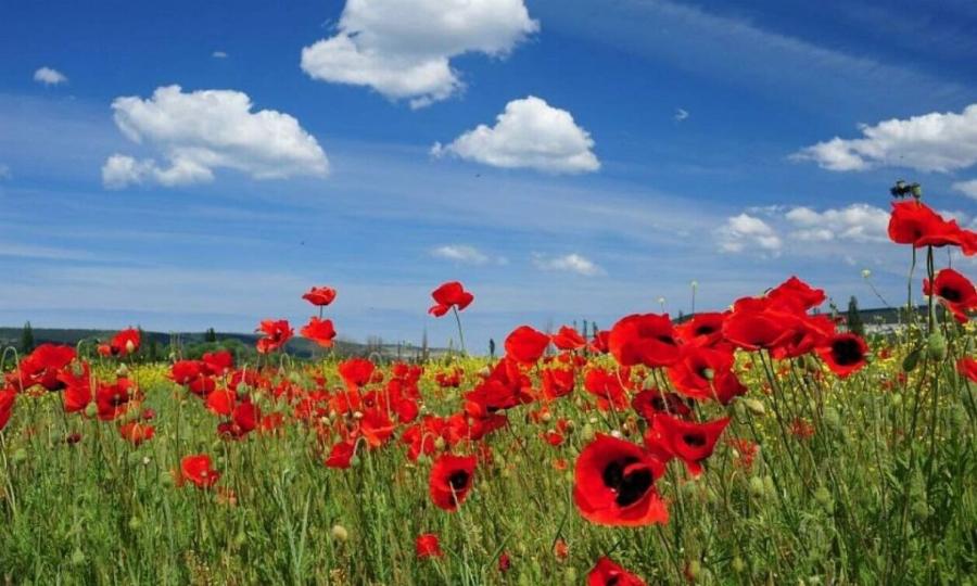 Οριστικό: «Κλείδωσε» ο καιρός της 25ης Μαρτίου