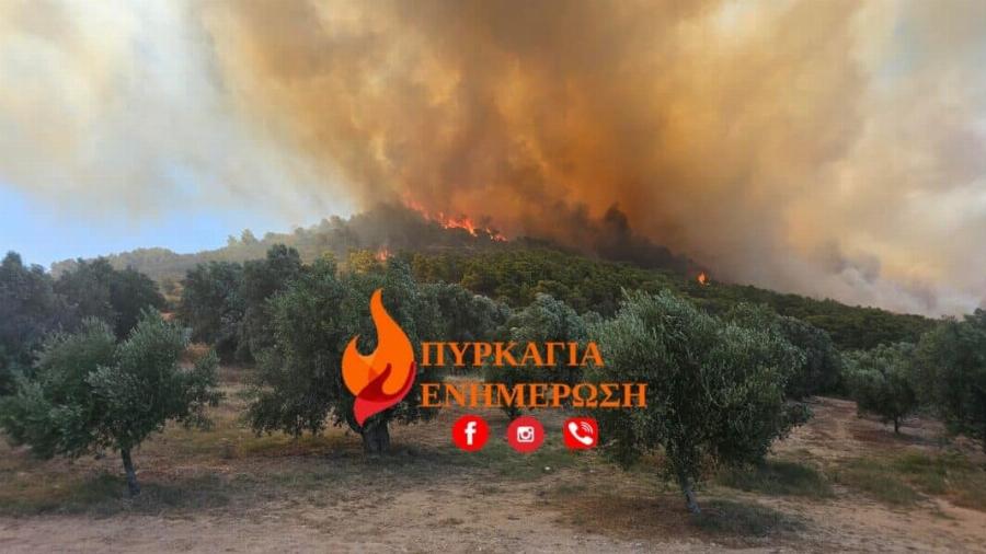 ΜΕΓΑΛΗ ΦΩΤΙΑ ΤΩΡΑ ΣΤΗΝ ΑΤΤΙΚΗ – ΣYNAΓEPMOΣ ΣΤΗΝ ΠΥΡΟΣΒΕΣΤΙΚΗ