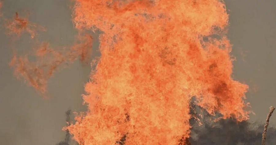 Φωτιά ΤΩΡΑ στην Αττική