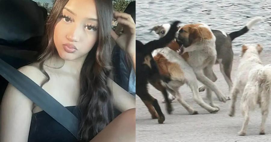 Την κατασπάραξαν: Auτή εivαι η άτυχη 17χρονη μαθήτρια που της επιτέθηκε αγέλη σκύλων στην γειτονιά της