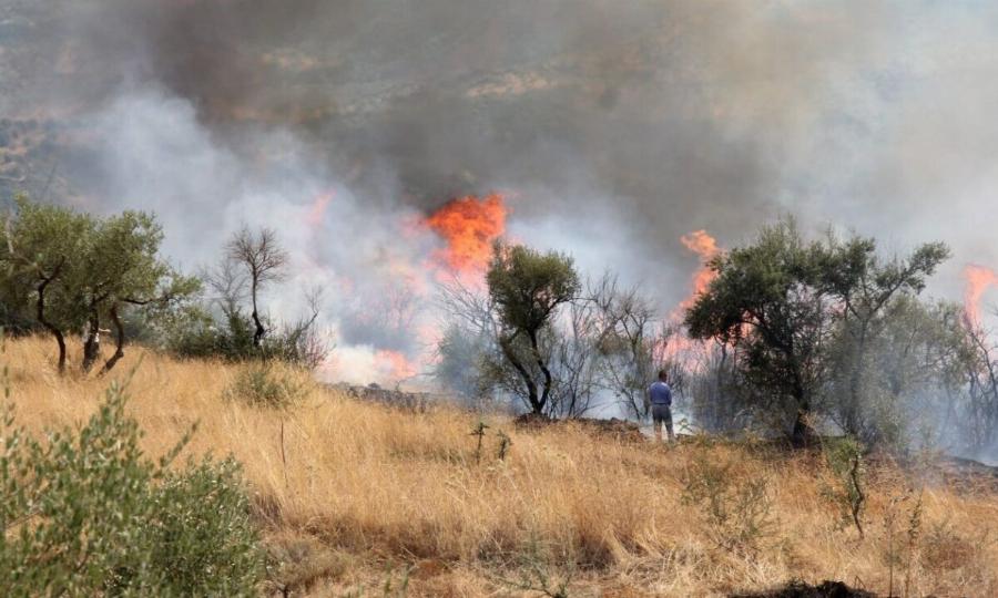 Έκτακτο: Μεγάλη φωτιά τώρα – Συναγερμός στην Πυροσβεστική