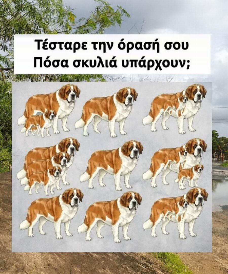 Μπορείτε