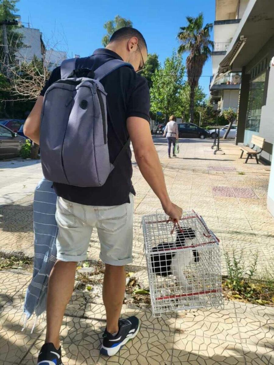 Θλiψn στον δημοσιογραφικό κόσμο: Έφυγε από τη ζωή ένας υπέροχος άνθρωπος – Είχε αφιερώσει τη ζωή του στα αδέσποτα