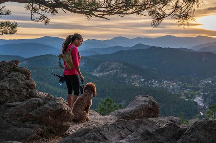 Τα 10 μεγάλα πλεονεκτήματα του να ταξιδεύεις με σκύλους