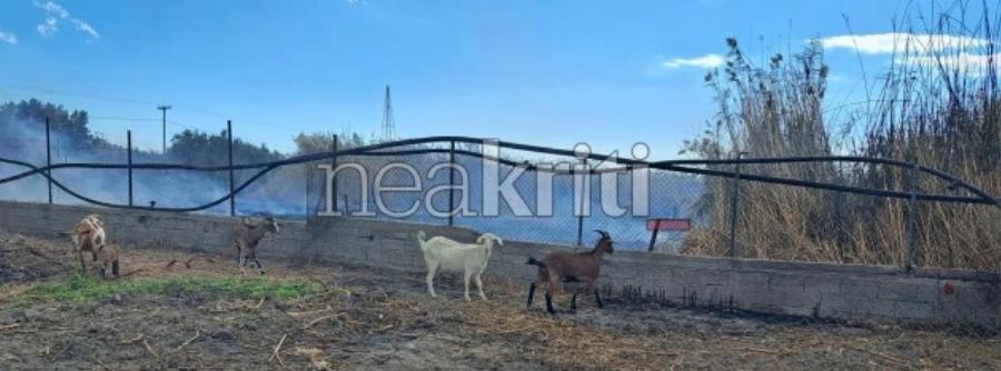 Μεγάλη φωτιά τώρα: Σε κίνδυνo περιουσίες – Στο νοσοκομείο ένας πυροσβέστης