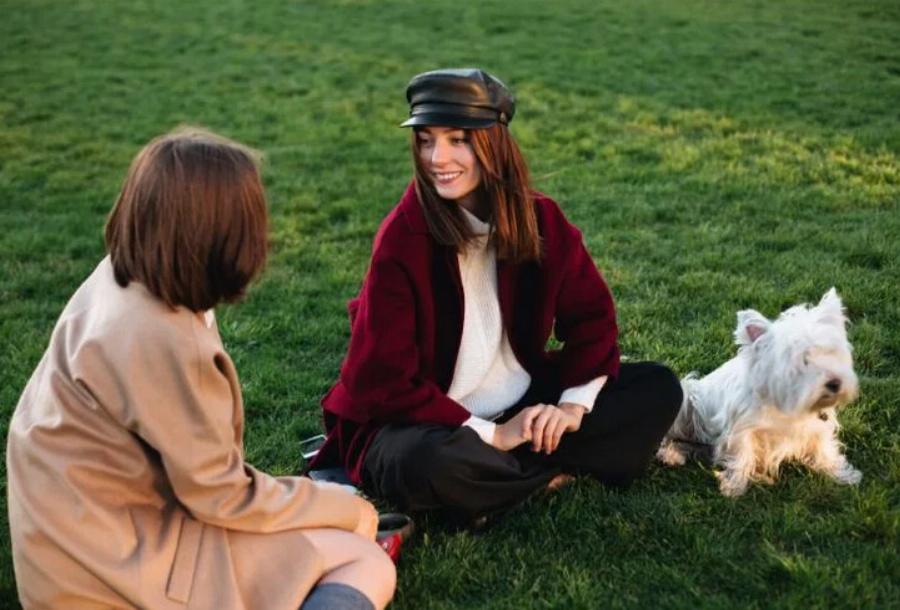 Τα 10 μεγάλα πλεονεκτήματα του να ταξιδεύεις με σκύλους