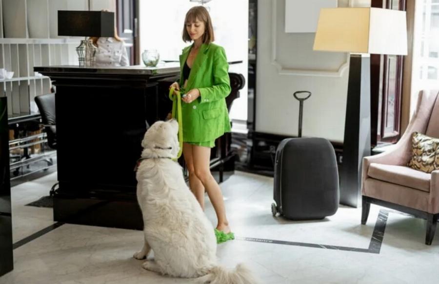 Τα 10 μεγάλα πλεονεκτήματα του να ταξιδεύεις με σκύλους