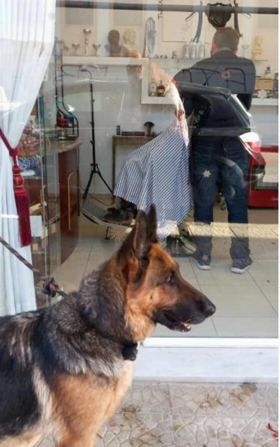 Η συγκινητική ιστορία της σκυλίτσας που μπήκε σε κουρείο της Πάτρας και υιοθετήθηκε