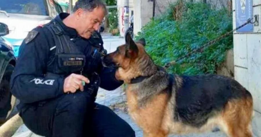 Η συγκινητική ιστορία της σκυλίτσας που μπήκε σε κουρείο της Πάτρας και υιοθετήθηκε