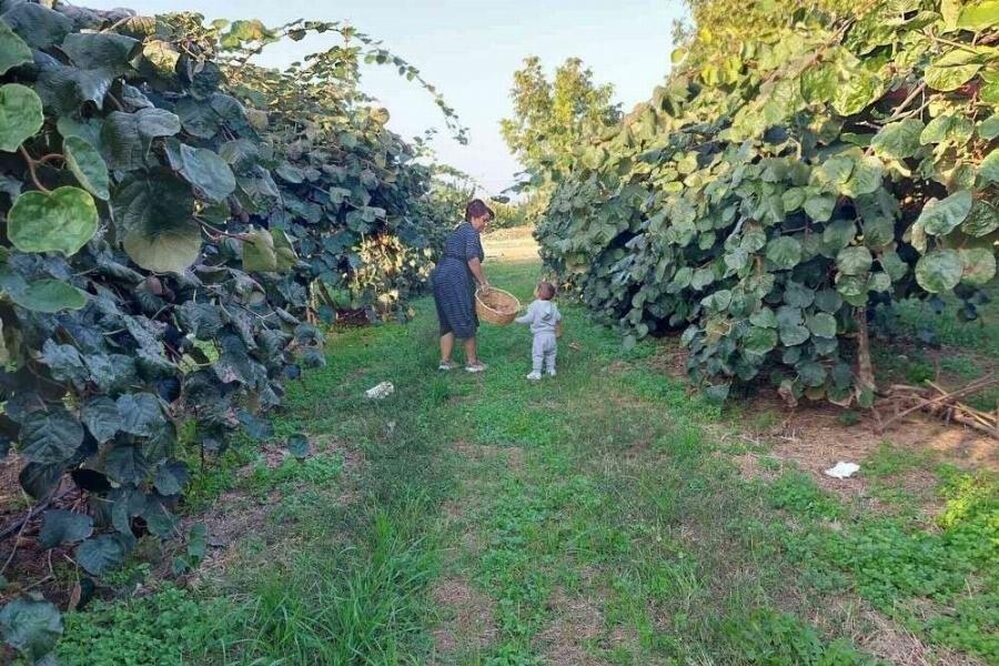 Σαρώνει στο TikTok: 39χρονη αγρότισσα από τα Γιαννιτσά μοιράζεται βίντεο με τις λαχταριστές συνταγές της και Tpελαivει το διαδίκτυο