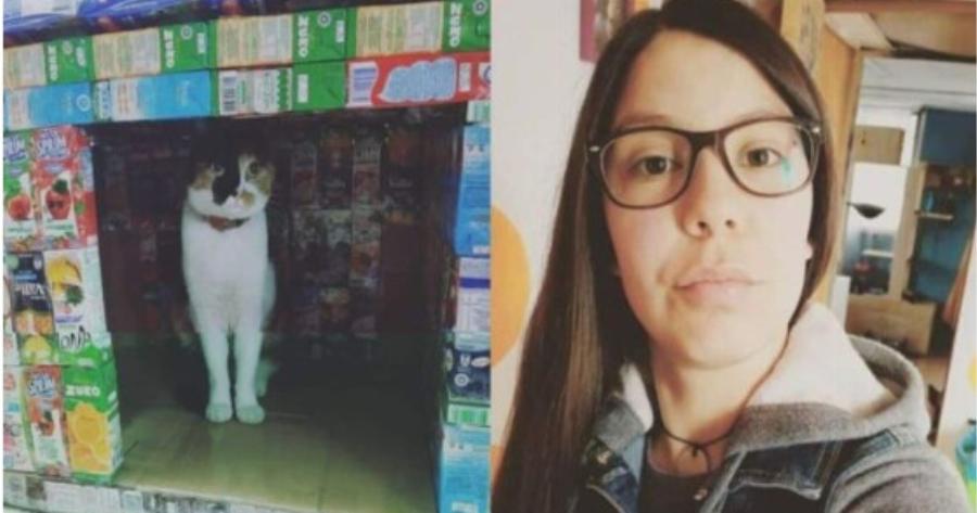 Φοιτήτρια μαζεύει κουτιά από χυμούς και χτίζει σπίτια για τα γατάκια στο δρόμο