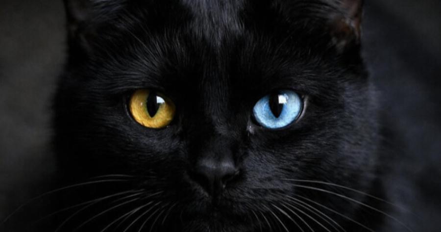 Αυτά είναι τα 3 πιο γρουσούζικα ζώδια – Μείνε μακριά τους! – “Ρουφάνε” την καλή σου τύχη