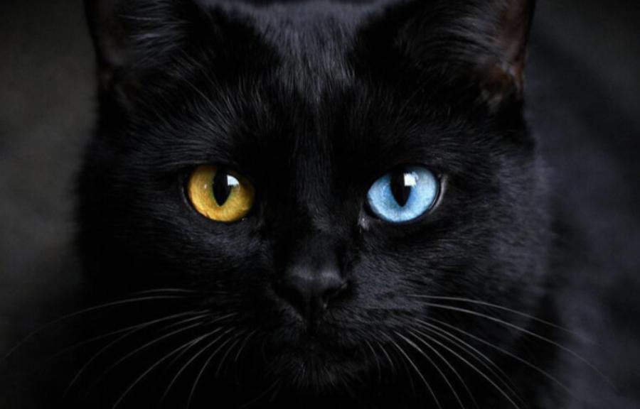 Αυτά είναι τα 3 πιο γρουσούζικα ζώδια – Μείνε μακριά τους! – “Ρουφάνε” την καλή σου τύχη