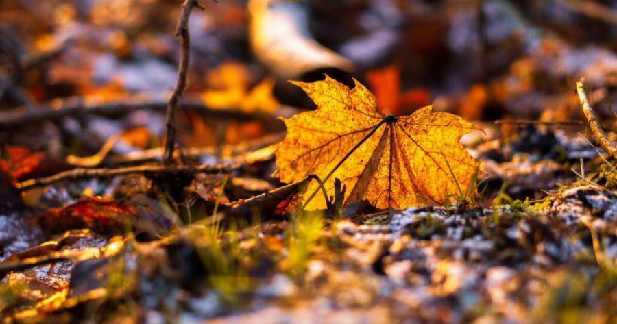 Γυρίζουν σελίδα: Τα 4 Zώδια που ο Οκτώβριος θα τα μεταμορφώσει έως τέλος του μήνα – Αλλάζει η ζωή σας