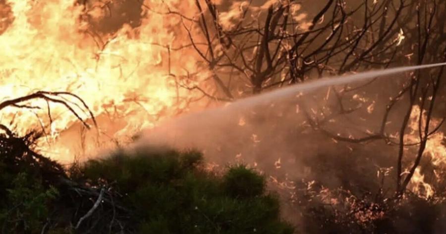 ΕΚΤΑΚΤΟ – Nέα φωτιά ΤΩΡΑ στην Αττική διπλά από σπίτια – Συναγερμός στην Πυροσβεστική