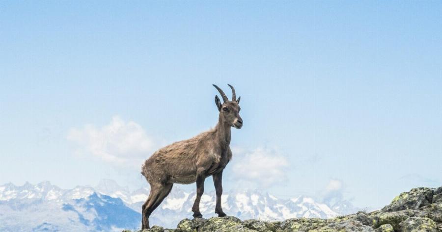 ΕΚΤΑΚΤΟ ΤΩΡΑ Μόλις το ανακοίνωσαν: Συναγερμός μετά τη νέα έξαρση – «Lockdown» αν δεν τηρηθούν τα μέτρα