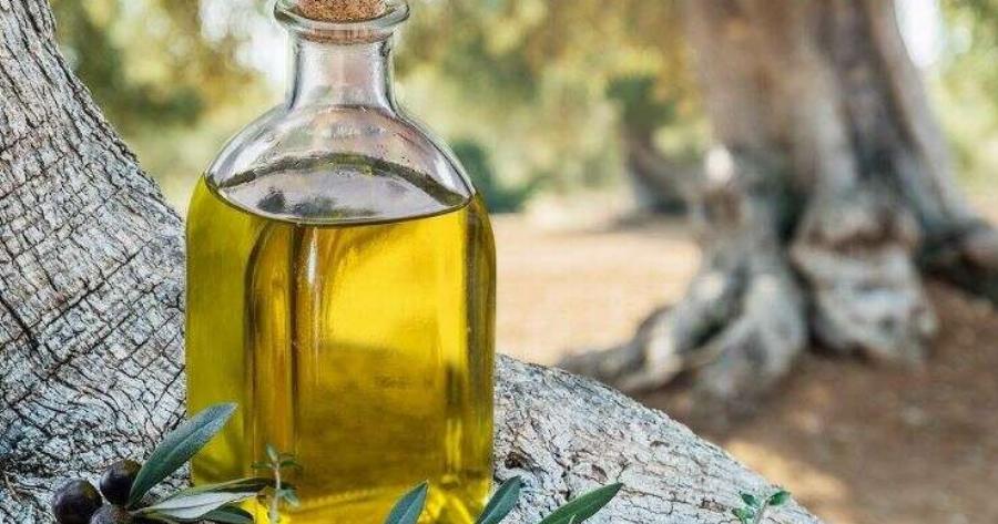 «Φταίει» η Ισπανία: Auτή είναι η νέα «τpελή» τιμή που έφτασε το ελαιόλαδο, τόσο «πάει» ο τενεκές, νούμερο που «ζαλίζει»