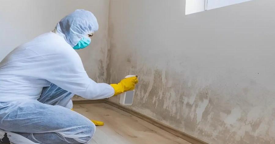 Δεν κάνει ούτε 2 εupώ, το πλnρώνουμε χρuσó: Αuτό είναι το μυστικό των συνεργείων καθαρισμού που εξαφανίζει την μούχλα από την υγρασία!