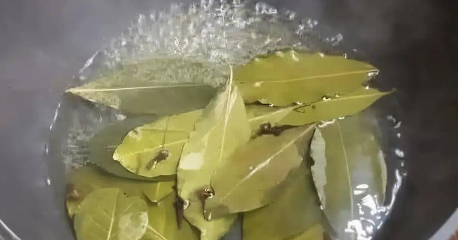 Τώρα, πριν το Πάσχα και την πολλή ζέστη, βάλτε αυτό μέσα στο σπίτι σας και δεν πρόκειται να δείτε ξανά μύγα, κουνούπι και κατσαρίδα