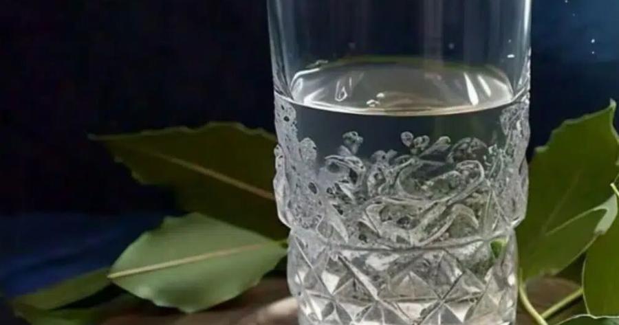 Δεν το ξέρει κανείς: Γιατί πρέπει να βάζετε φύλλα δάφνης στο νερό πριν από τις 24 Δεκεμβρίου