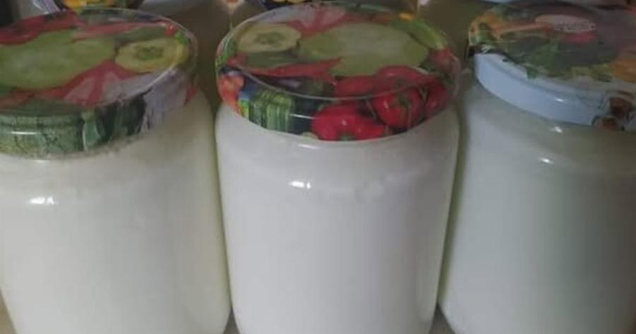 Σπιτικό γιαούρτι εύκολο και πηχτό – Πώς να το φτιάξεις χωρίς κόπο στο σπίτι