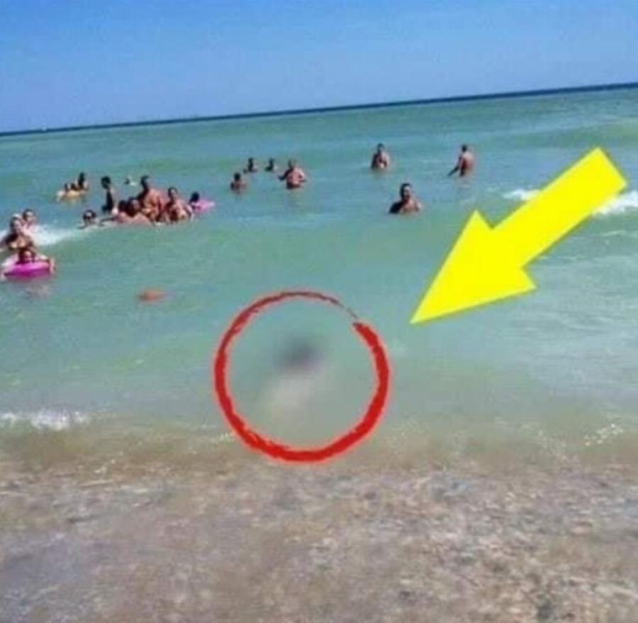 Οι τουρίστες δεν πίστευαν στα μάτια τους!