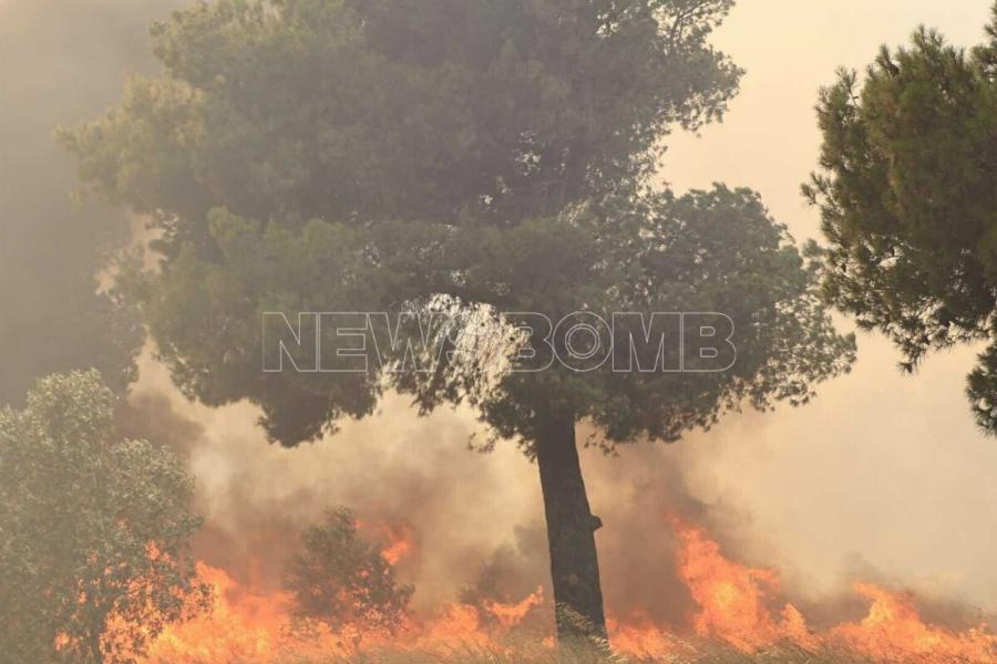 Φωτιά τώρα σε Πικέρμι – Ραφήνα: «Καίγονται σπίτια, δεν έχουν σταματήσει οι ισχυροί άνεμοι»