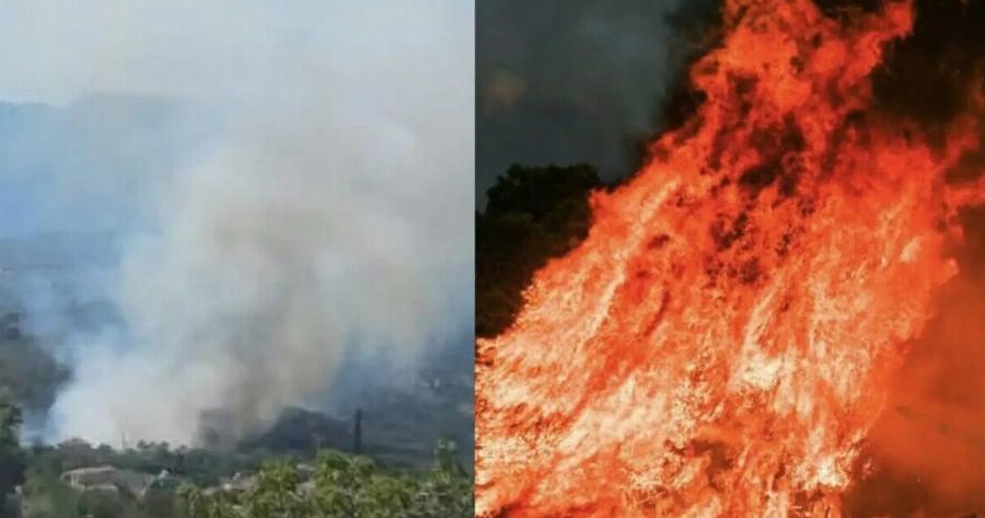 Νέα μεγάλη και επικίνδυνη φωτιά τώρα – Ισχυρές δυνάμεις της Πυροσβεστικής