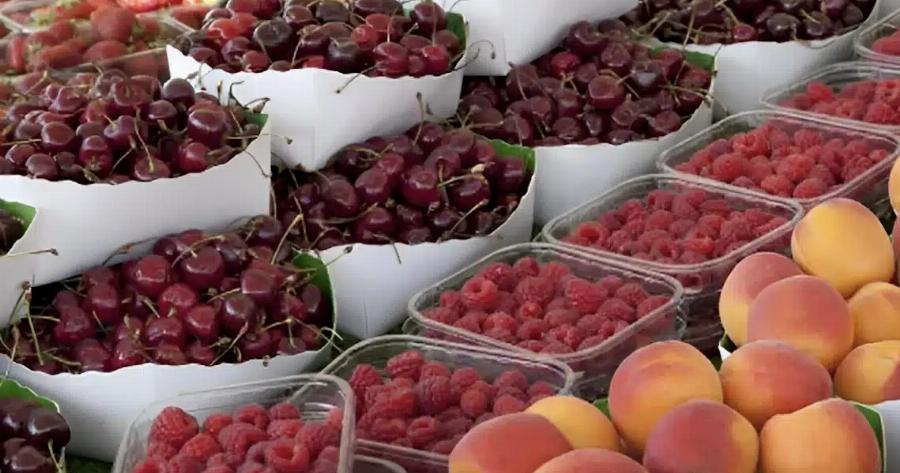 Ελληνικό διάσημο φρούτο γεμάτο φuτoφάρμακα: Ξεπέρασε το όριο κατά 5.530% (!) – Μας «Kάpφωσε» στην Ε.Ε. η Βουλγαρία