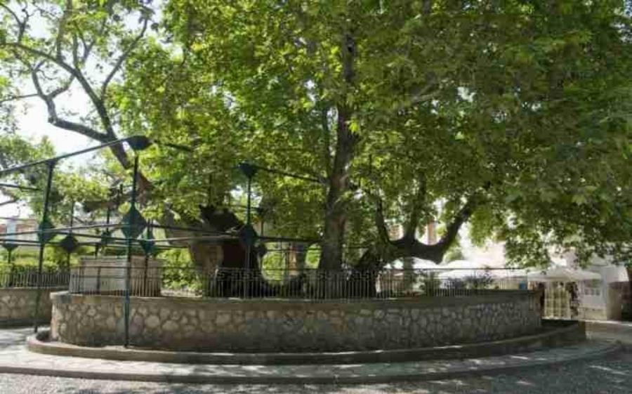 Η καλύτερη πόλη για να ζεις στην Ελλάδα.. και με αποδείξεις