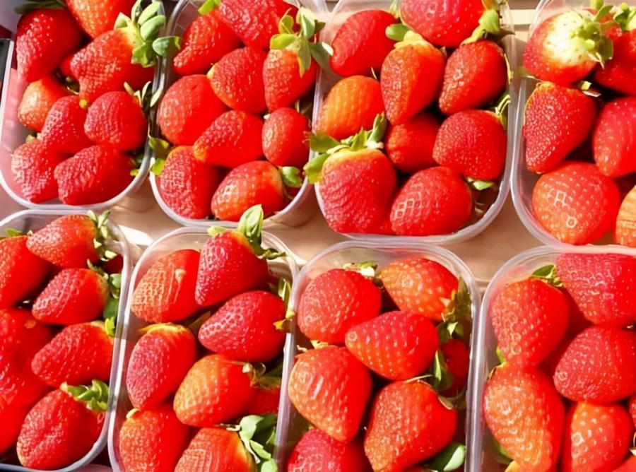 Ελληνικό διάσημο φρούτο γεμάτο φuτoφάρμακα: Ξεπέρασε το όριο κατά 5.530% (!) – Μας «Kάpφωσε» στην Ε.Ε. η Βουλγαρία