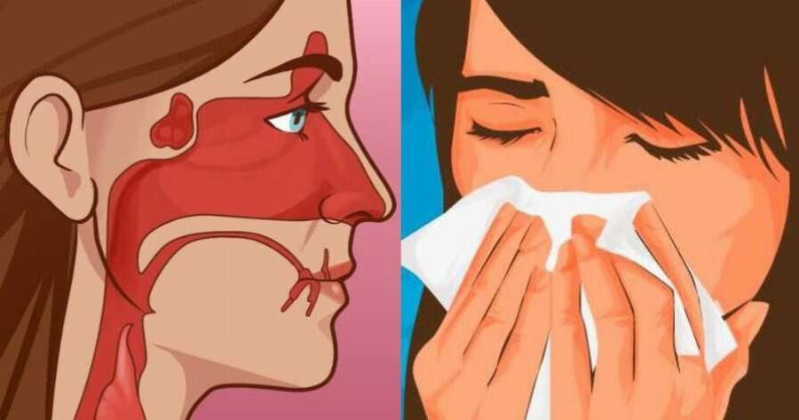 Βουλωμένη μύτη κάθε πρωί: 8 αιτίες που δεν είχατε φανταστεί και τι να κάνετε για να αναπνεύσετε ελεύθερα