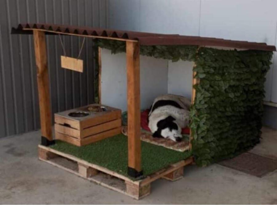 Τους αξίζουν συγχαρητήρια: Ζεστό σπιτάκι για έναν αδέσποτο σκύλο έφτιαξε το κατάστημα Leroy Merlin στη Λάρισα