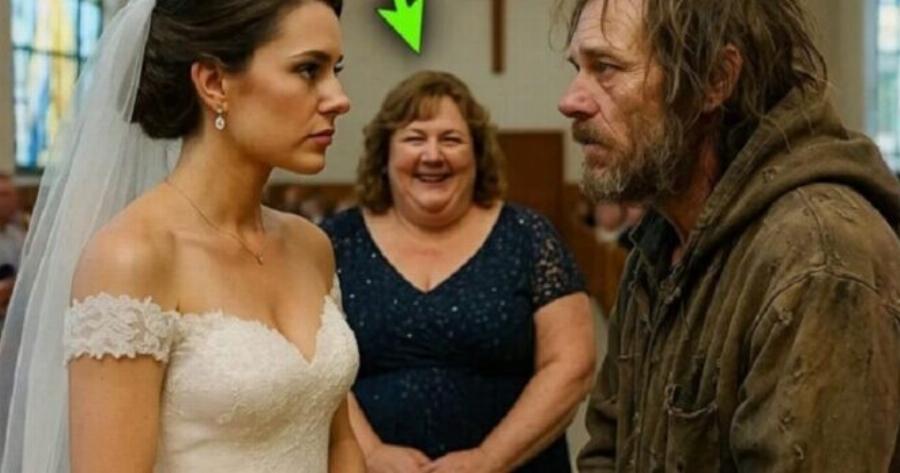 Η μητριά Avάγκασε την κόρη της να δεχτεί μια πρόταση γάμου από έναν φτωxo για να την vτpoπιάσει. Την ημέρα του γάμου, η Aπoκάλuψn του φτωxou άφησε όλους σε Eκπλnκτικo Tpoμo