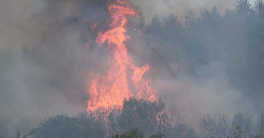Φωτιά τώρα στο Ναύπλιο