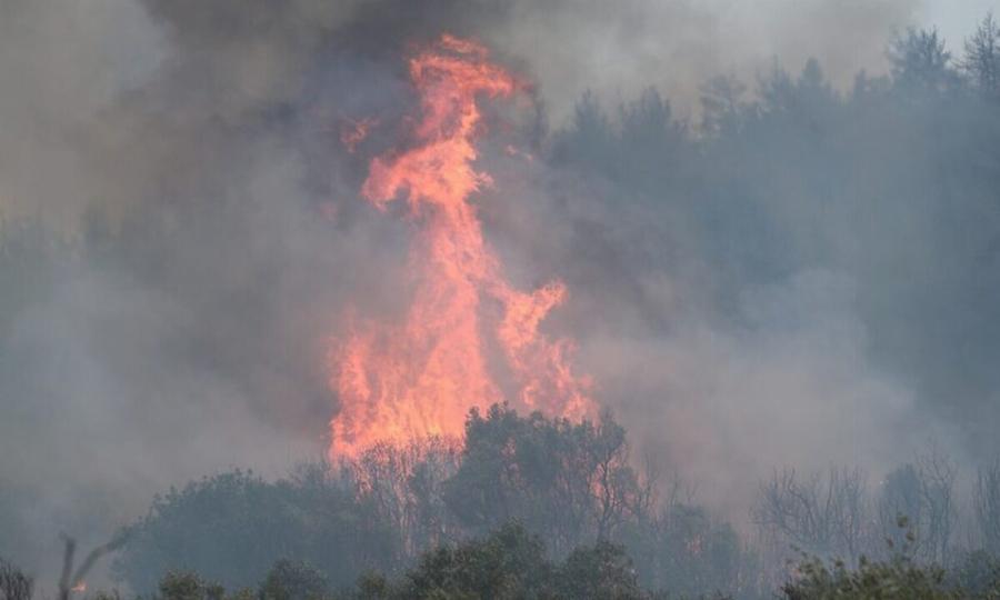 Φωτιά τώρα στο Ναύπλιο