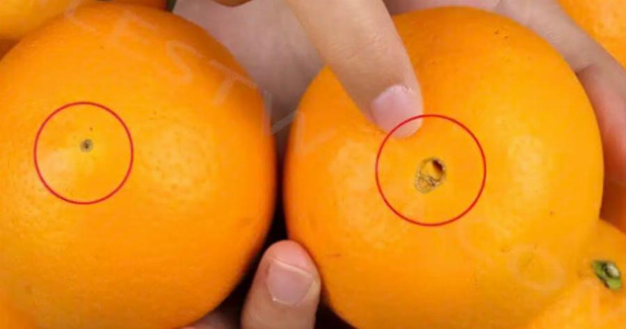 Η διαφορά των πορτοκαλιών με «μεγάλο αφαλό» και «μικρό αφαλό»