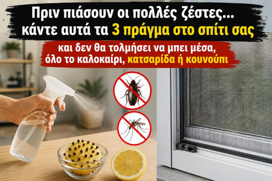 Πριν πιάσουν οι πολλές ζέστες… κάντε αυτά τα 3 πράγμα στο σπίτι σας και δεν θα τολμήσει να μπει μέσα, όλο το καλοκαίρι, κατσαρίδα ή κουνούπι