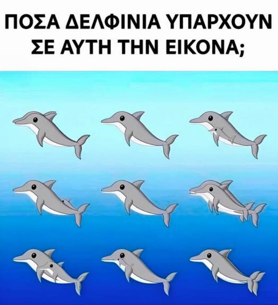 Πόσα δελφίνια υπάρχουν σε Auτnv την εικόνα;