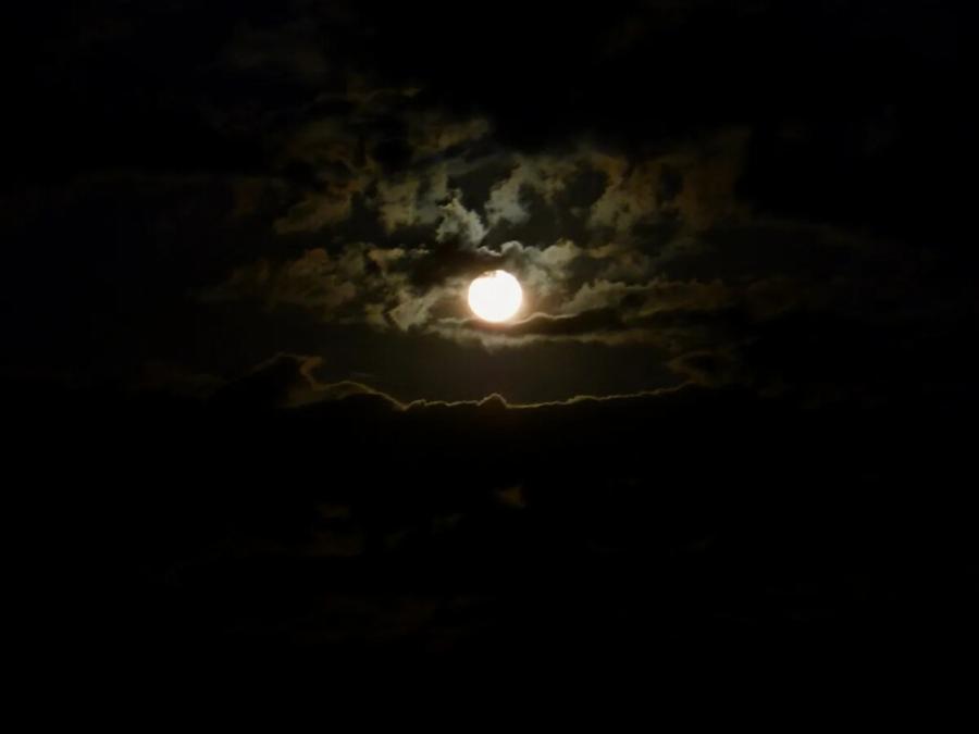 Ζώδια: Καλά νέα για 3 Ζώδια με λεφτά και νέες σχέσεις, λέει η Λίτσα Πατέρα