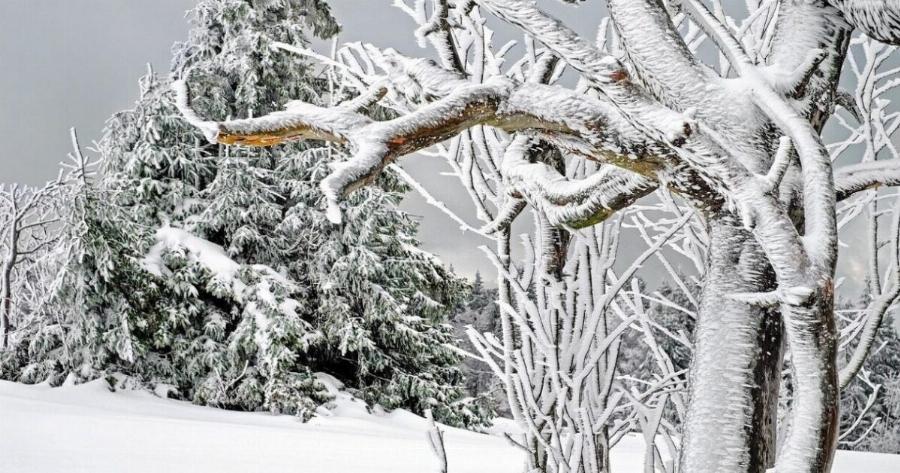 Στα «λευκά» η χώρα τα Χριστούγεννα – Ισχυρή προειδοποίηση από τον Σάκη Αρναούτογλου