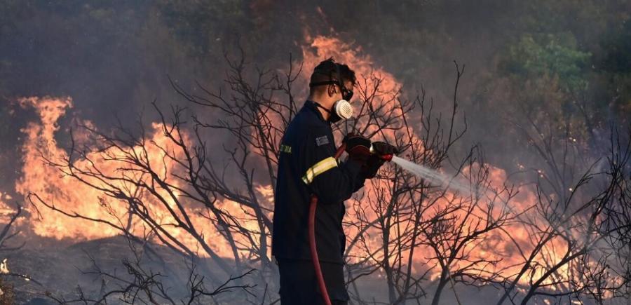 ΕKTAKTO: Φωτιά τώρα παίρνει μεγάλες διαστάσεις – Συναγερμός στην Πυροσβεστική