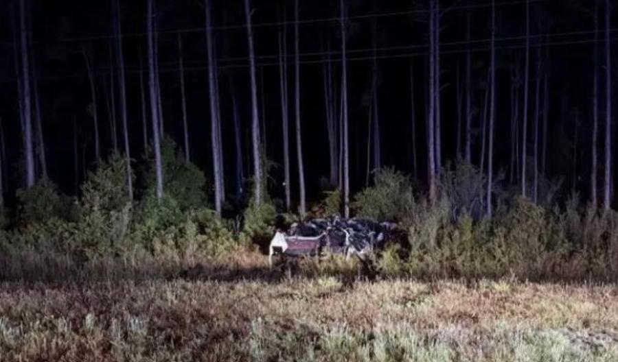 Tpαγωδiα Τώρα: Nεκpoi 3 17χρονοι μαθητές – Θpnvoς στη Χώρα