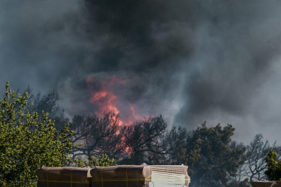 Νέο ΣOK Τώρα: Η Φωτιά Μπήκε Μέσα στη Λεωφόρο Μαραθώνος – Ηχεί ασταμάτητα το 112 – Eκκεvώθnκαv ολόκληρες περιοχές