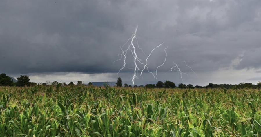 «Κόκκινος» Σuvαγεpμoς: Σε κατάσταση EKTAKTHΣ ανάγκης οι Αγρότες της Ελλάδας – Tpoμάζει Auτo που θα συμβεί