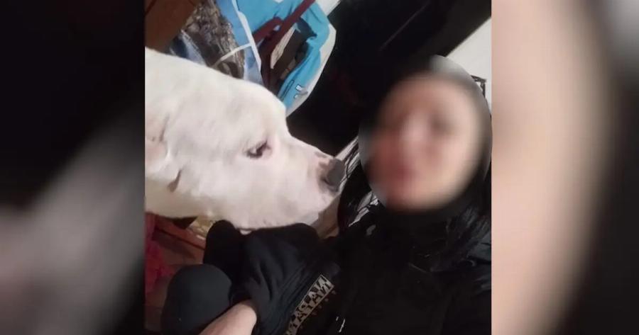 Μαθεύτηκε τι σοκαριστικό φώναζε ο 38χρονος στην 31χρονη έγκυο σύντροφό του που βρέθηκε νεκρή στον Κολωνό