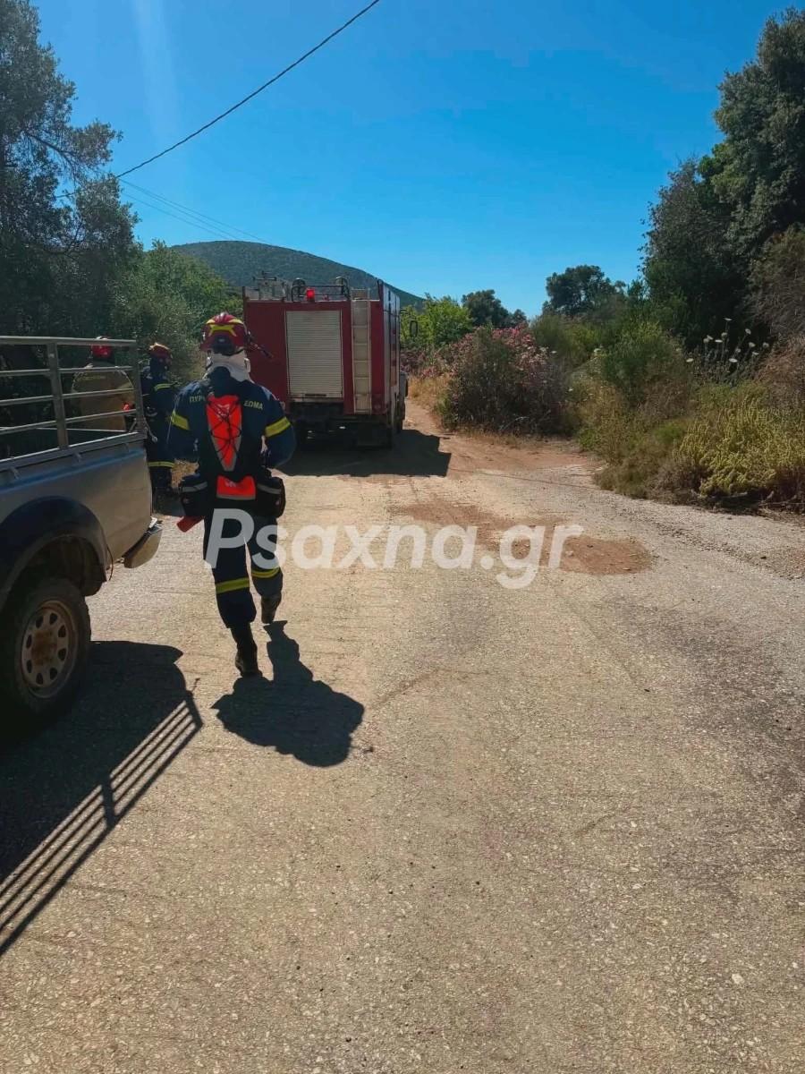 Τεράστια φωτιά τώρα κατακαίει τη χώρα μας: 9 εναέρια δίνουν μάχη – Εστάλη 112